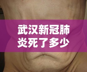 武汉新冠肺炎死了多少人/湖北武汉市新冠疫情死了多少人