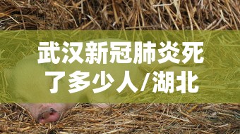 武汉新冠肺炎死了多少人/湖北武汉市新冠疫情死了多少人 武汉新冠肺炎死了多少人/湖北武汉市新冠疫情死了多少人