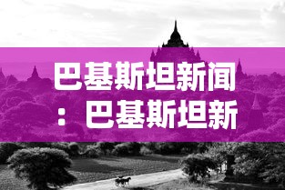 巴基斯坦新闻：巴基斯坦新闻中文网