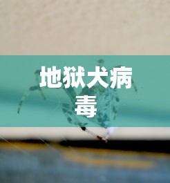 地狱犬病毒