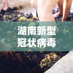 湖南新型冠状病毒/湖南新型冠状病毒最新消息