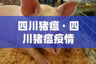 四川猪瘟 · 四川猪瘟疫情