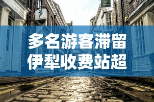 多名游客滞留伊犁收费站超30小时 多名游客滞留伊犁收费站超30小时