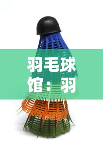 羽毛球馆：羽毛球馆英文
