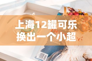 上海12罐可乐换出一个小超市/上海可口可乐汽水 上海12罐可乐换出一个小超市/上海可口可乐汽水