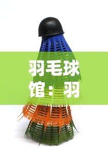 羽毛球馆：羽毛球馆投资大概多少钱