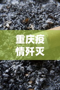 重庆疫情歼灭出现3个下降 重庆疫情歼灭出现3个下降