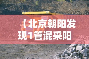 【北京朝阳发现1管混采阳性 → 北京朝阳两区新增423个项目】
