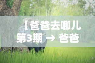 【爸爸去哪儿第3期 → 爸爸去哪儿3期免费】