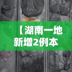 【湖南一地新增2例本土无症状轨迹公布 → 湖南新冠最新消息】
