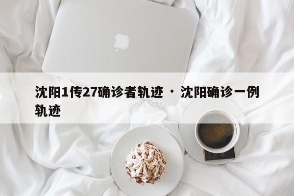 沈阳1传27确诊者轨迹 · 沈阳确诊一例轨迹