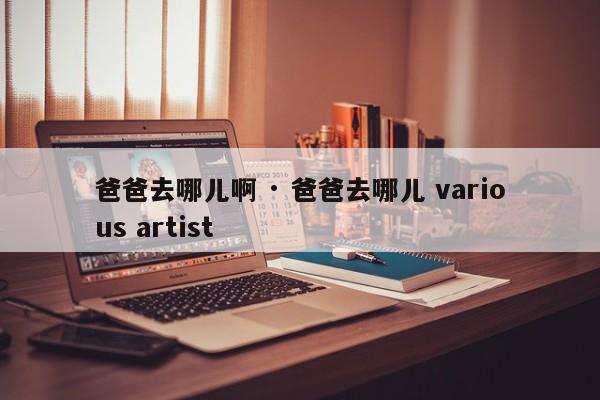 爸爸去哪儿啊 · 爸爸去哪儿 various artist