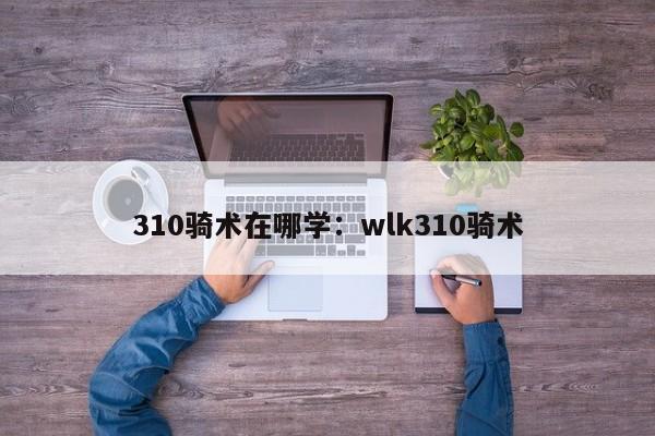 310骑术在哪学:wlk310骑术