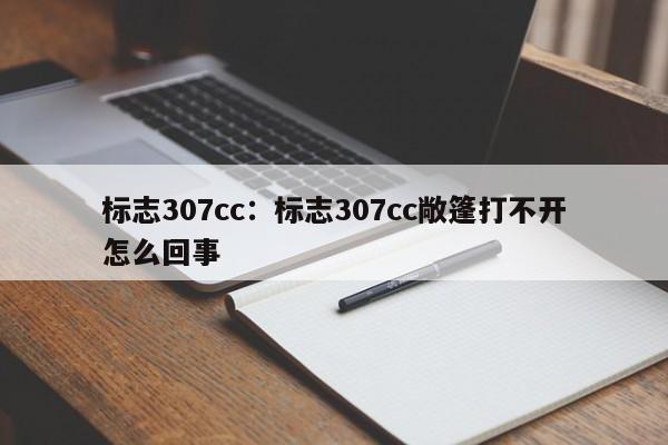 标志307cc:标志307cc敞篷打不开怎么回事