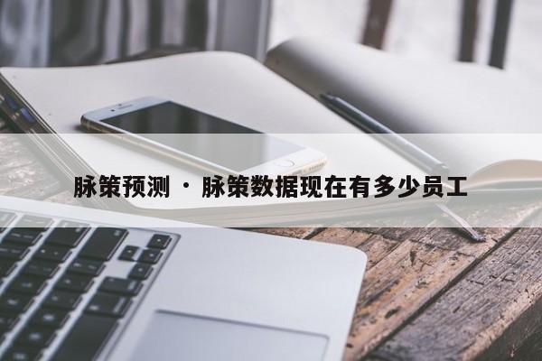 脉策预测 · 脉策数据现在有多少员工