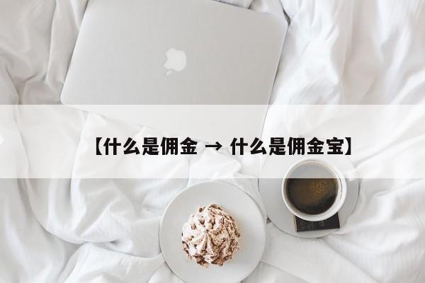 【什么是佣金 → 什么是佣金宝】