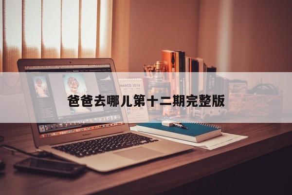 爸爸去哪儿第十二期完整版