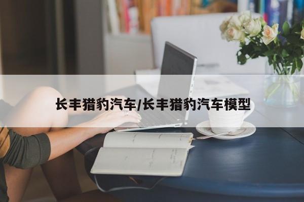 长丰猎豹汽车/长丰猎豹汽车模型