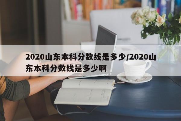 2020山东本科分数线是多少/2020山东本科分数线是多少啊