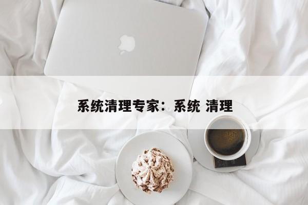 系统清理专家:系统 清理
