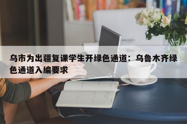 乌市为出疆复课学生开绿色通道:乌鲁木齐绿色通道入编要求